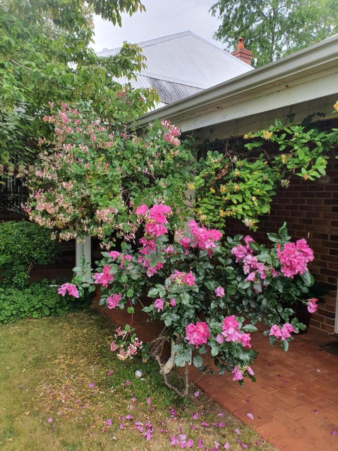 Redgum Hill Country Retreat Guest House Balingup Exterior photo