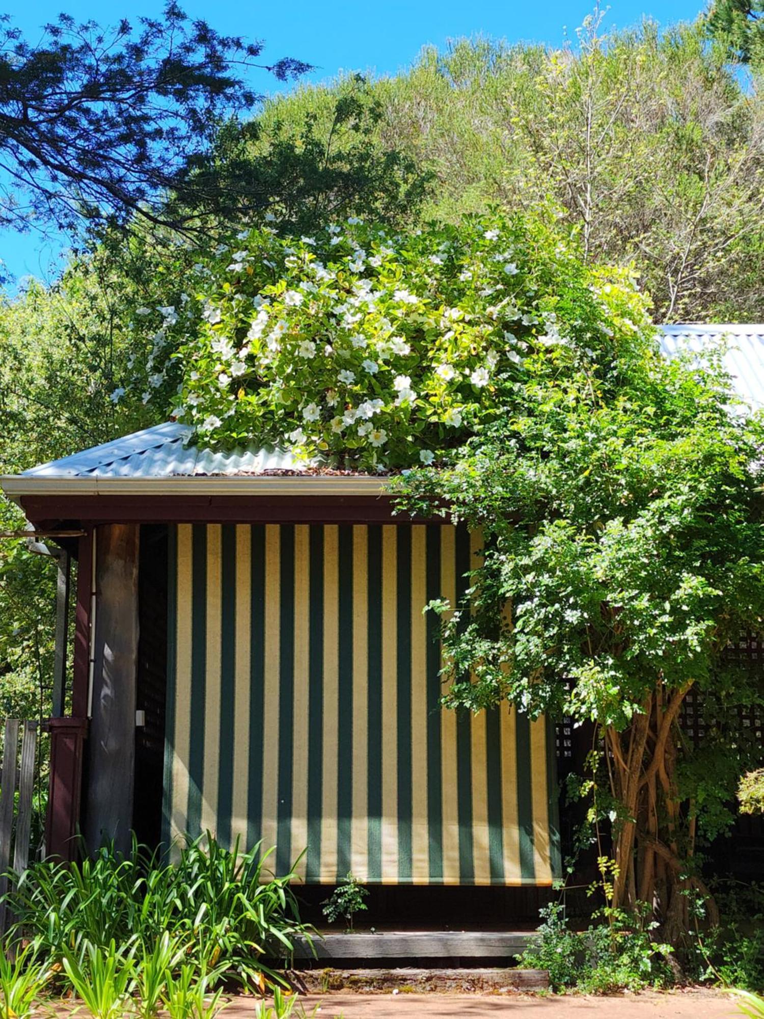 Redgum Hill Country Retreat Guest House Balingup Exterior photo