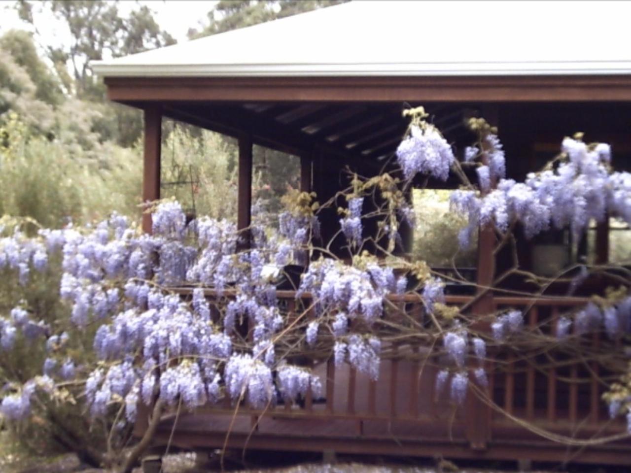 Redgum Hill Country Retreat Guest House Balingup Exterior photo